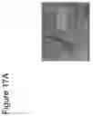 Fig. 22 - ABSORBABLE FIBRIN MICROTHREAD SUTURES FOR REDUCED INFLAMMATION AND SCARRING IN TISSUE LIGATION