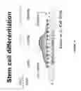 Fig. 11 - INTERPENETRATING NETWORK HYDROGELS WITH INDEPENDENTLY TUNABLE STIFFNESS