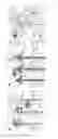 Fig. 02 - Collagen biomaterials