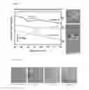 Fig. 02 - CORNEA MIMETIC BIOMATERIALS: VITRIFIED COLLAGEN-CYCLODEXTRIN IMPLANTS