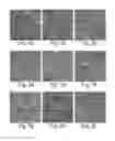 Fig. 06 - COMPOSITIONS AND METHODS FOR SCAFFOLD FORMATION