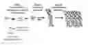 Fig. 01 - Crosslinked peptide hydrogels