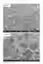 Fig. 16 - Crosslinked peptide hydrogels