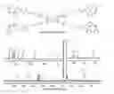 Fig. 01 - DEGRADABLE HYDROGEL WITH PREDICTABLE TUNING OF PROPERTIES, AND COMPOSITIONS AND METHODS THEREOF