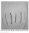 Fig. 09 - High strength biomedical materials