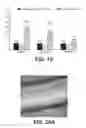Fig. 16 - High strength biomedical materials
