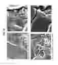 Fig. 28 - Decreasing bacterial responses on nano-modified titanium