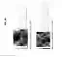 Fig. 37 - Decreasing bacterial responses on nano-modified titanium
