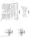 Fig. 12 - Peritoneal dialysis systems, devices, and methods