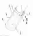 Fig. 18 - Methods and devices for autoflush syringes