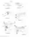 Fig. 24 - Headgear for respiratory interfaces