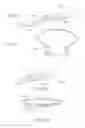 Fig. 28 - Headgear for respiratory interfaces