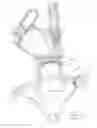 Fig. 12 - Supplemental oxygen delivery system