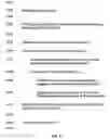 Fig. 09 - METHODS  AND SYSTEMS FOR ENHANCING SLEEP OF A USER OF AN INTERACTIVE MEDIA GUIDANCE SYSTEM