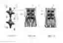 Fig. 02 - Method for interferential current stimulation by complex active regions