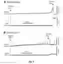 Fig. 04 - 