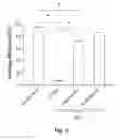 Fig. 06 - 