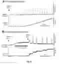 Fig. 07 - 