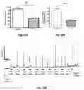 Fig. 28 - 