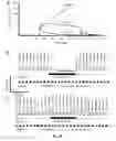 Fig. 30 - 