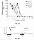Fig. 32 - 