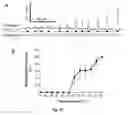 Fig. 33 - 