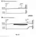 Fig. 34 - 