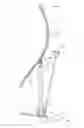 Fig. 01 - Stretching device