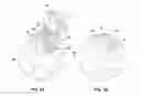 Fig. 10 - Device for displaying in respose to a sensed motion