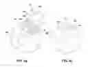 Fig. 06 - System and method for a motion sensing device which provides a visual or audible indication