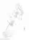 Fig. 07 - Shock absorber for racket