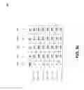 Fig. 09 - Sequentially operated modules