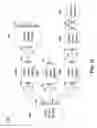 Fig. 61 - Sequentially operated modules