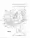 Fig. 02 - Bidirectional gear assembly for electromechanical toys