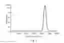 Fig. 07 - Packing system and method for chromatography columns
