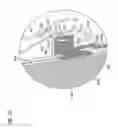 Fig. 40 - Air filter arrangement; assembly; and, methods