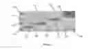 Fig. 09 - Flowcells with microretainers and particle separators for discrete seeding microspots