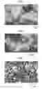 Fig. 06 - Pulverizing apparatus with high processing capability and a method for producing fine paper powder