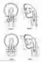 Fig. 04 - Shower head