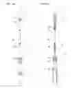 Fig. 04 - Hand tool for welding-torch maintenance