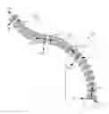 Fig. 01 - Systems and methods for safe compliant insertion and hybrid force/motion telemanipulation of continuum robots
