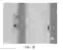 Fig. 22 - APERTURED FILM AND METHOD OF MAKING THE SAME