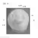 Fig. 09 - Molding head mounted on discharge container