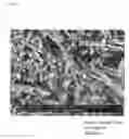 Fig. 07 - MICROFIBER NONWOVEN COMPOSITE