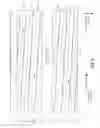 Fig. 16 - Continuous motion printing on cylindrical objects
