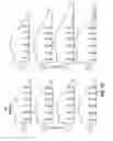 Fig. 24 - Continuous motion printing on cylindrical objects