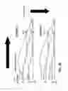 Fig. 26 - Continuous motion printing on cylindrical objects