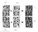 Fig. 01 - Method for processing a security element
