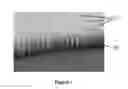 Fig. 03 - Method of marking a solid state material, and solid state materials marked according to such a method