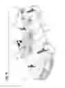 Fig. 74 - Active vehicle suspension system